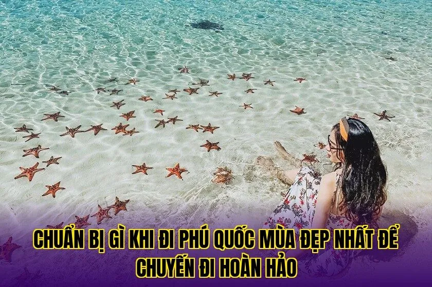 Chuẩn bị gì khi đi Phú Quốc mùa đẹp nhất để chuyến đi hoàn hảo
