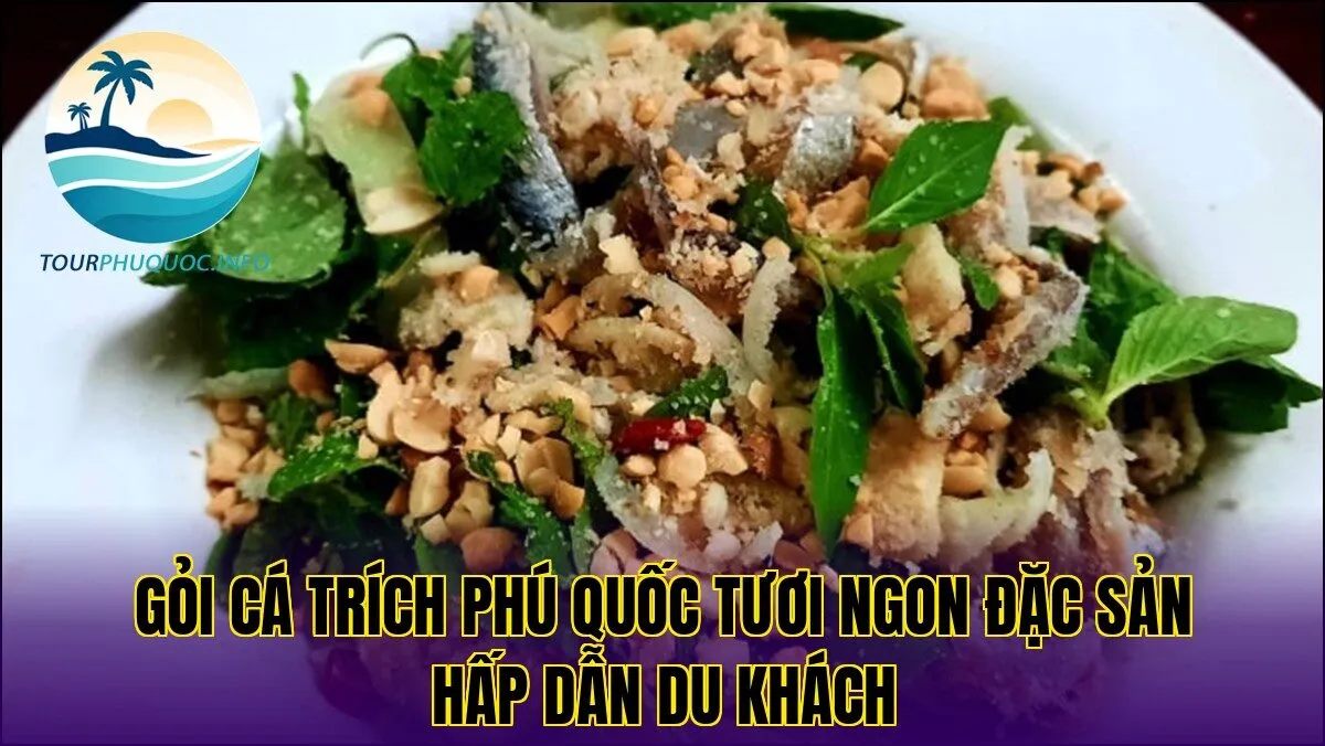 Gỏi cá trích Phú Quốc tươi ngon đặc sản hấp dẫn du khách