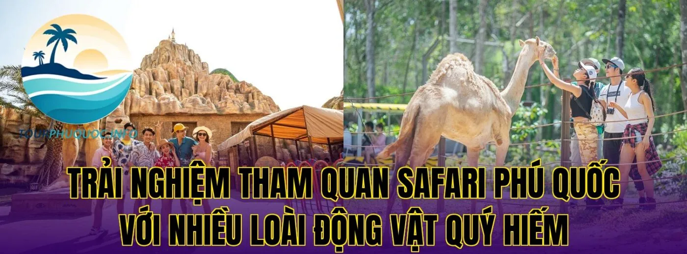 Trải nghiệm tham quan Safari Phú Quốc với nhiều loài động vật quý hiếm