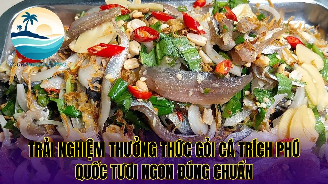 Trải nghiệm thưởng thức gỏi cá trích Phú Quốc tươi ngon đúng chuẩn