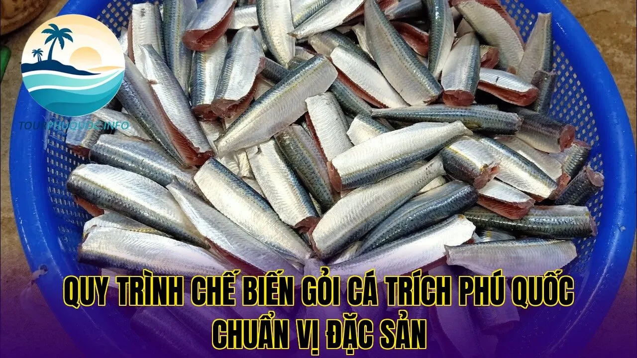 Quy trình chế biến gỏi cá trích Phú Quốc chuẩn vị đặc sản