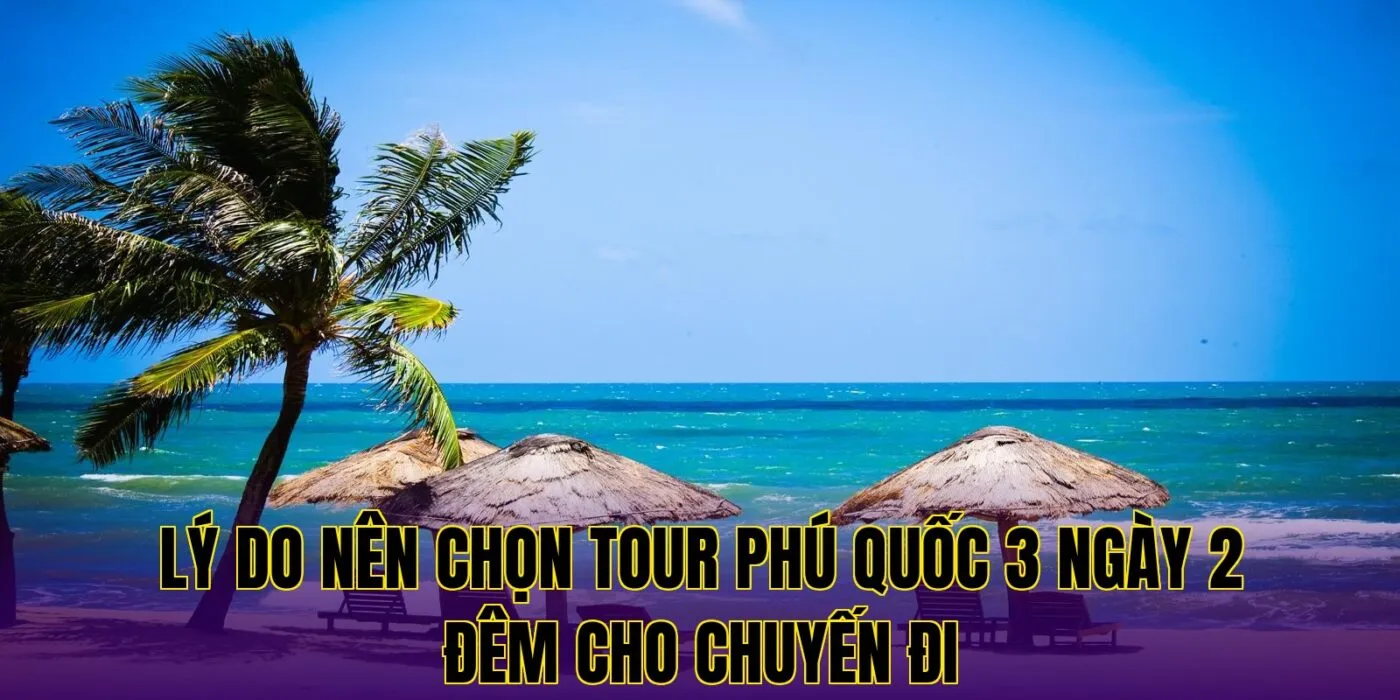lý do nên chọn tour phú quốc 3 ngày 2 đêm cho chuyến đi
