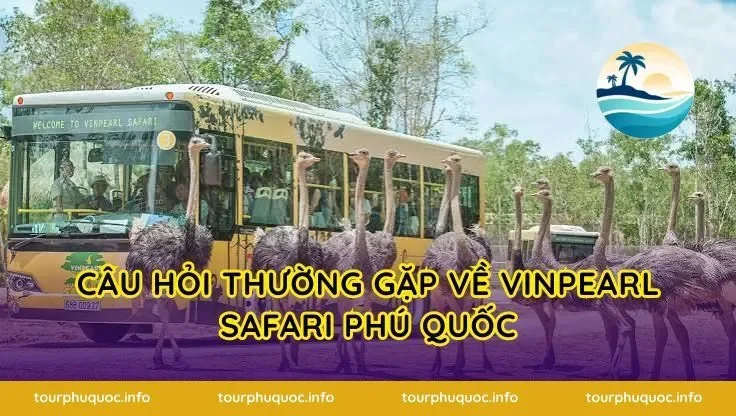 Câu hỏi thường gặp về Vinpearl Safari Phú Quốc